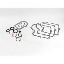 PACKNINGSSATS BRIGGS & STRATTON 494241