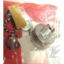 TÄNDNINGSLÅS BRIGGS & STRATTON 692318
