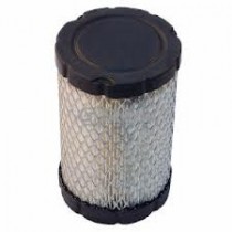 LUFTFILTER BRIGGS & STRATTON 796031