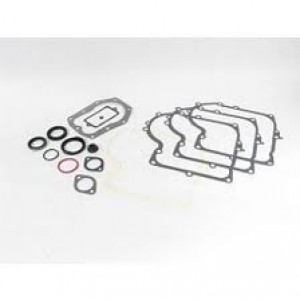 PACKNINGSSATS BRIGGS & STRATTON 494241