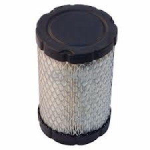 LUFTFILTER BRIGGS & STRATTON 796031